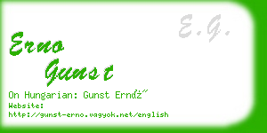 erno gunst business card